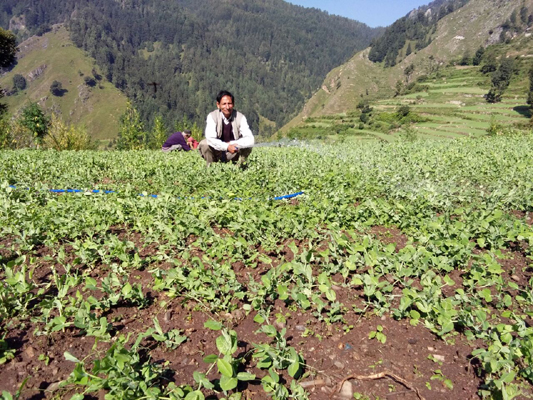 Sustainable agriculture